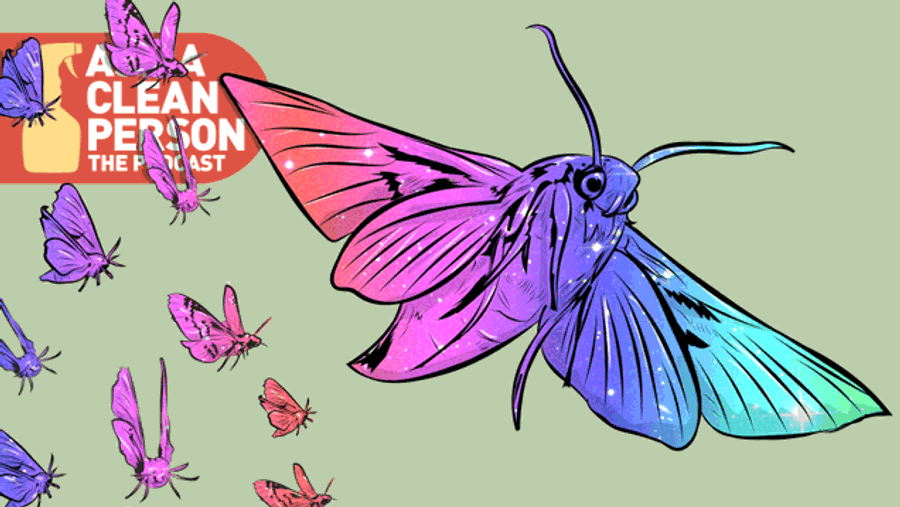 Cleancast: The Scourge Of Moths And Glitter