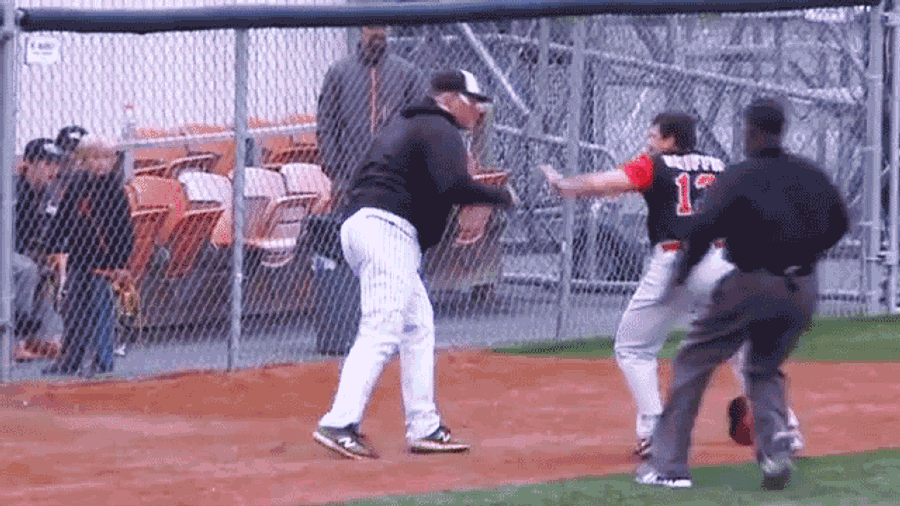 Managers&#39; Fistfight Causes Benches To Clear In Alaska League