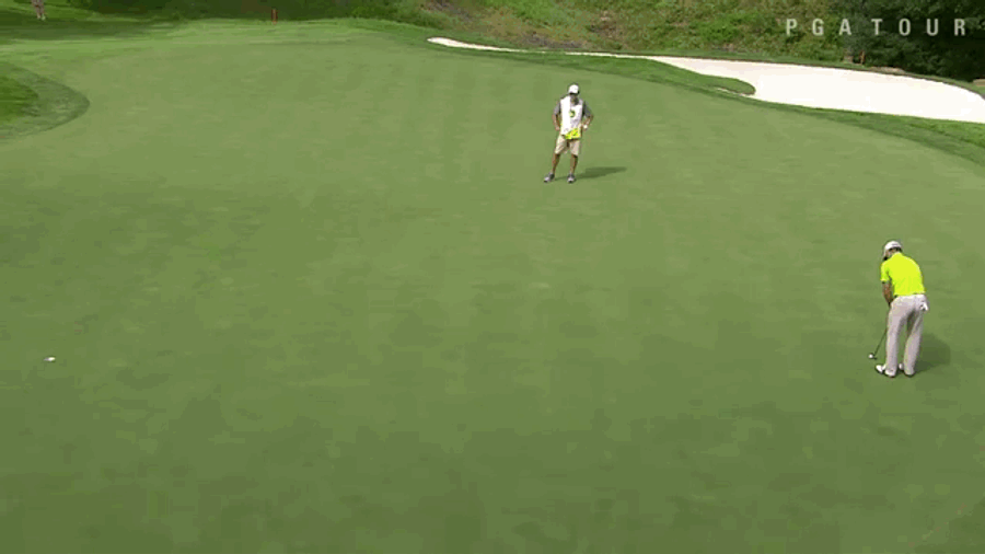 Golf Interrupted By Mildly Exciting Thing