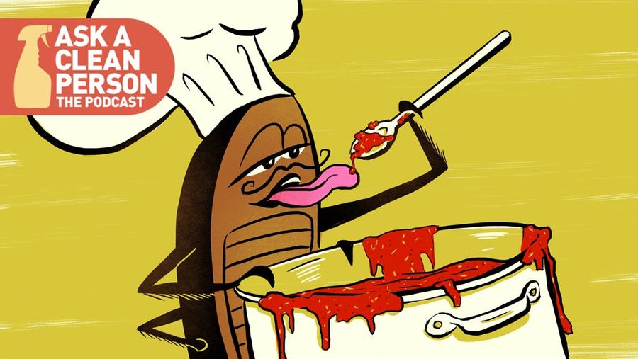 Cleancast: Ever Wondered How Gross Restaurants Really Are?