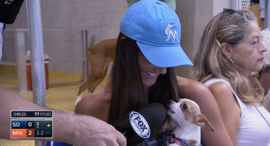Dog At Marlins Park: "Grrrr"