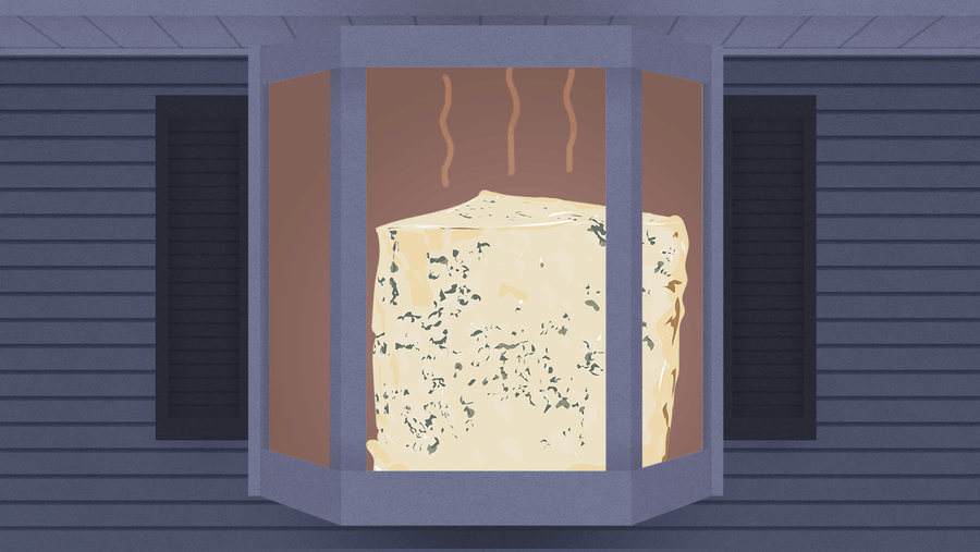 Extreme Humidity Is Turning My Home Into Gorgonzola