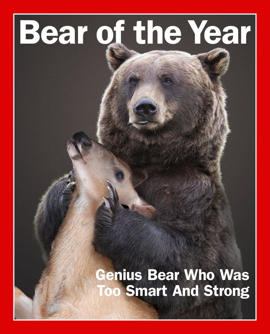 The 2014 Deadspin Bear Of The Year