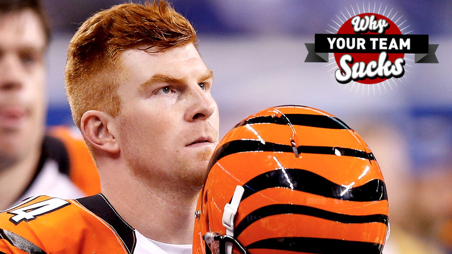 Why Your Team Sucks 2015: Cincinnati<i> </i>Bengals