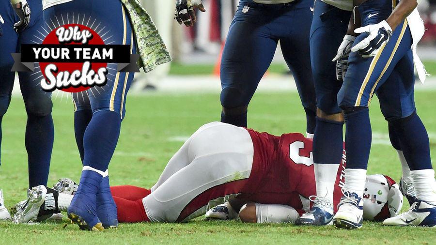Why Your Team Sucks 2015: Arizona Cardinals