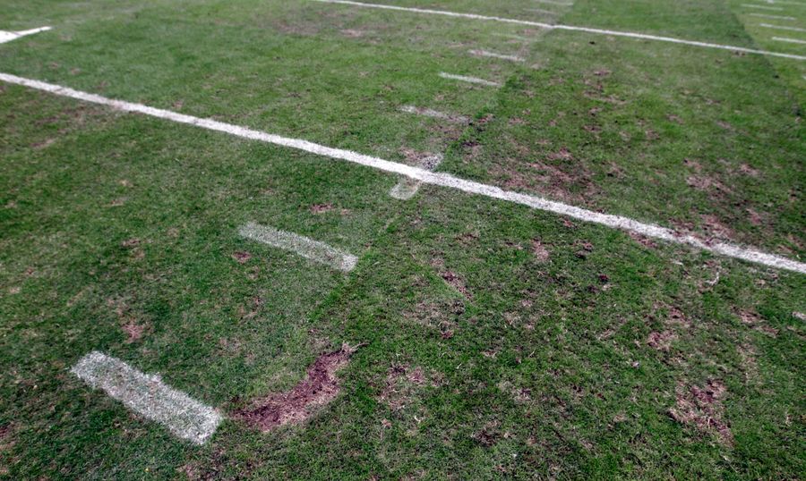 The Texans Will Finally Ditch Their Death-Trap Grass