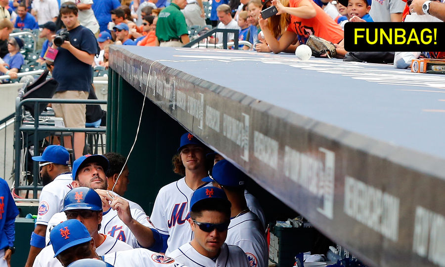 Which Sport Has the Best Bench Area?