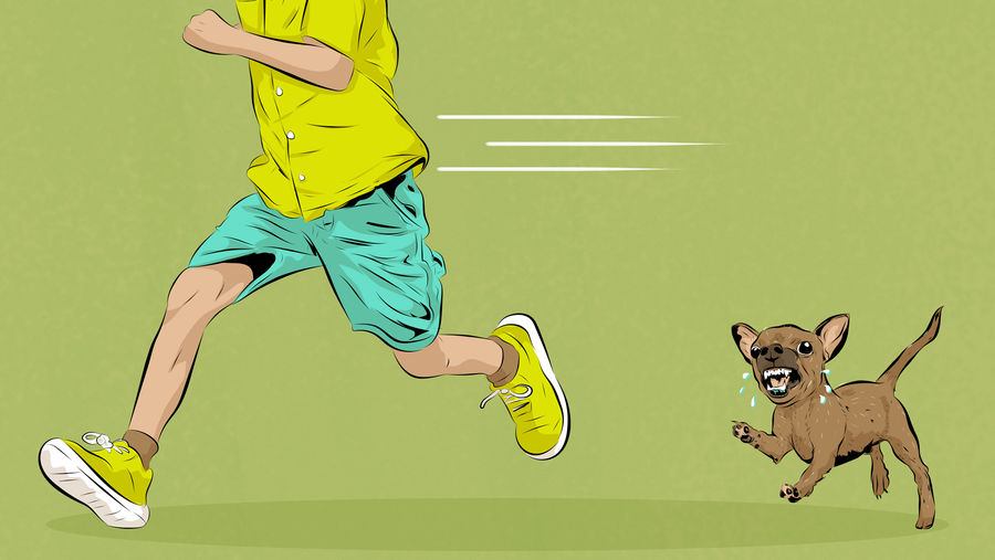 Can I Be Sued If My Dog Bites A Trespassing Kid In My Own Backyard?