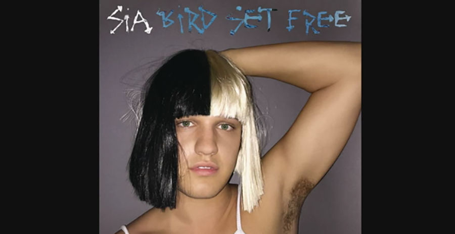 Let's All Belt Out Sia's New Ballad "Bird Set Free" Together