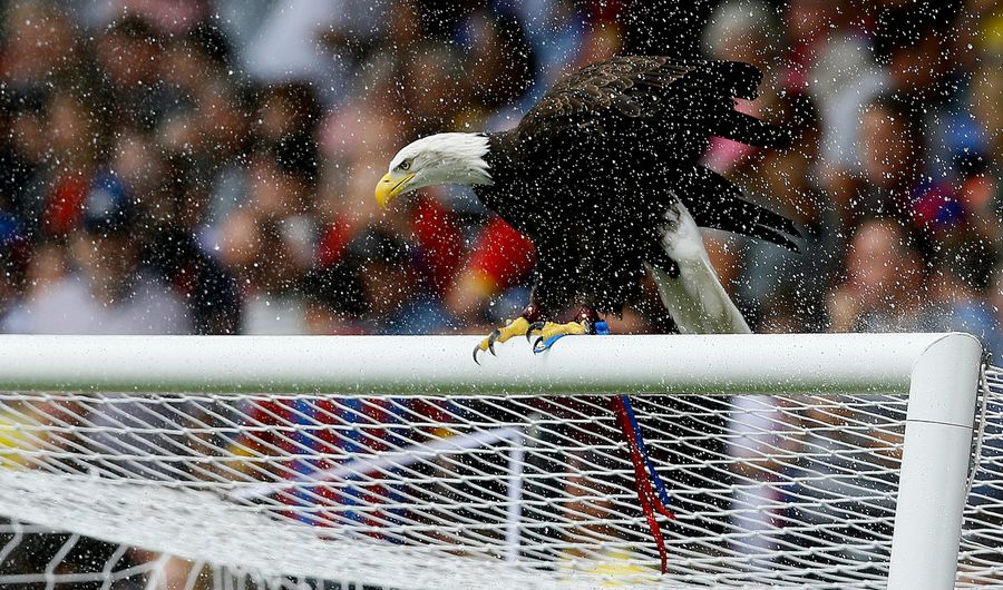 Eagle-Punching Menace Arrested In London Suburb