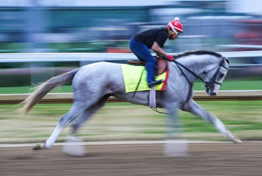 Kentucky Derby 151 contender Sandman trains at Churchill Downs in Louisville, Kentucky on Monday morning, April 21, 2025. The horse is trained by Mark Casse; earnings so far are $1,254,595. He's 3-1-2 in eight starts. PHOTO USA TODAY SPORTS IMAGES