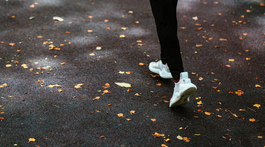 The Best Time to Build Muscle is Fall - Here’s Why