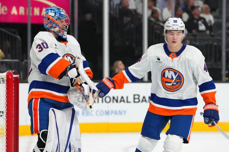 Islanders vs. Mammoth Betting Preview and Prediction: November 14 Top NHL Bet