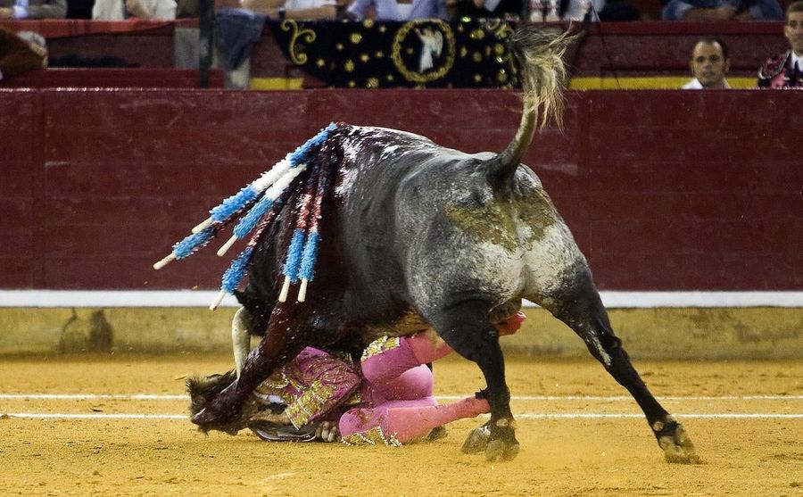 Five Months After Horrific Goring, Matador Tries A Comeback