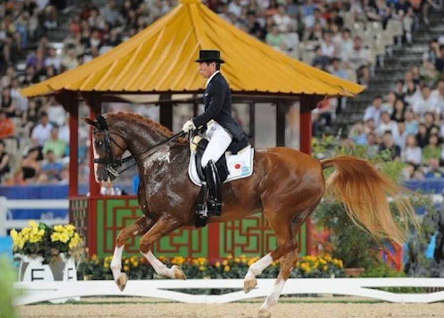 70-Year-Old Japanese Equestrian Earns Spot In London Olympics