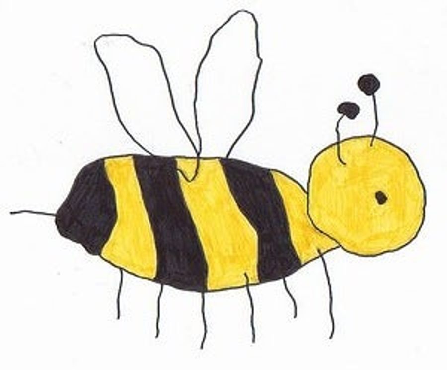 Not The Bees!