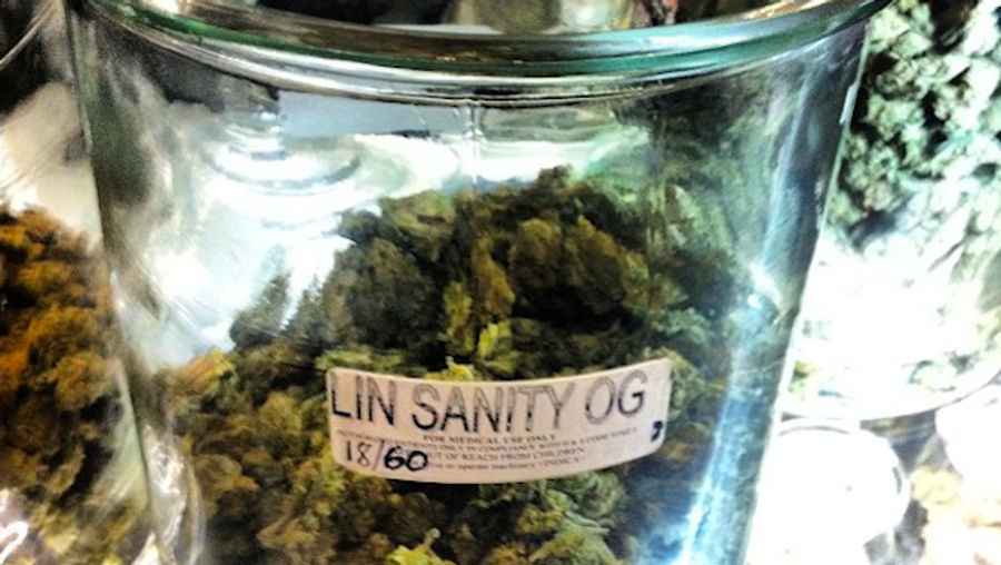 Rick Ross Has Discovered A Strain Of Marijuana Named For Jeremy Lin