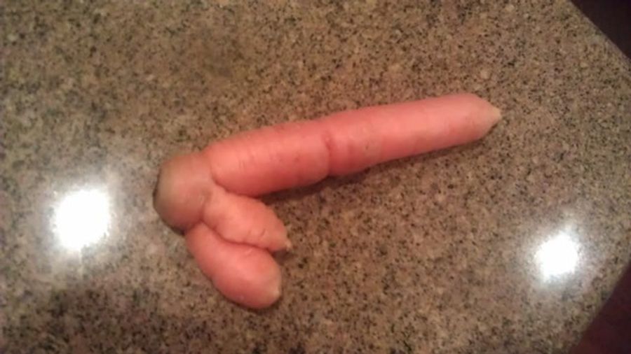 A Beta-Carotene Injection: The Week In Unintentional Dong Submissions