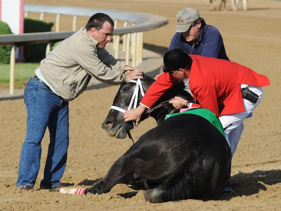HBO Unable To Film TV Show About Horse Racing Without Horses Dying