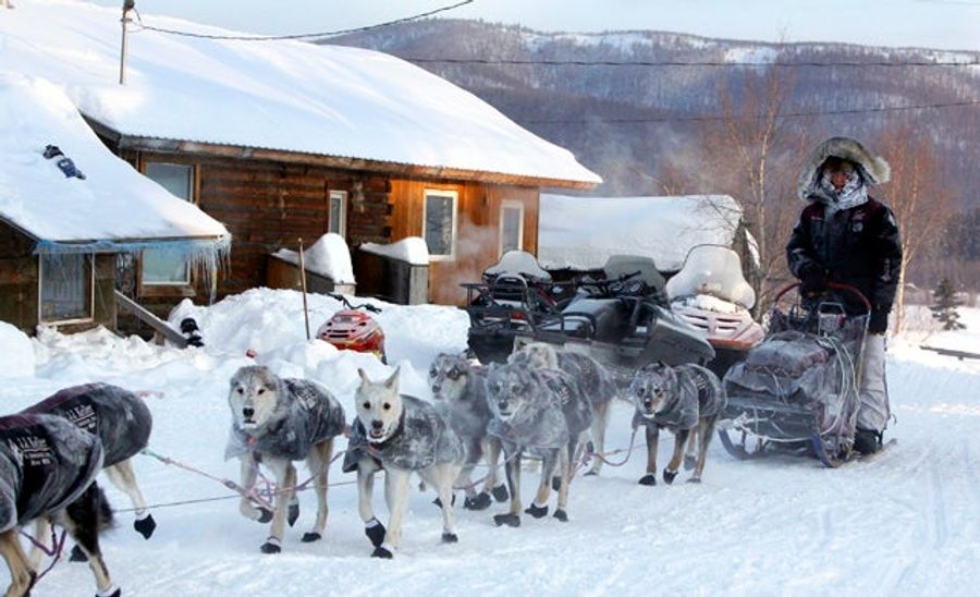 Badass 25-Year-Old Becomes Youngest Iditarod Winner Ever