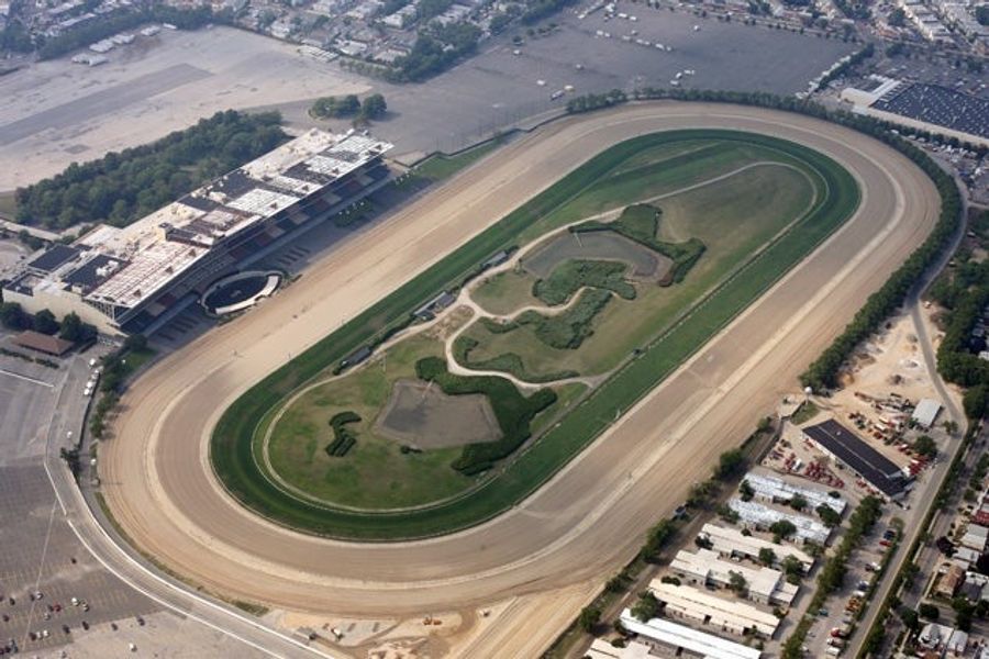 Since December, 16 Horses Have Died At Aqueduct Racetrack