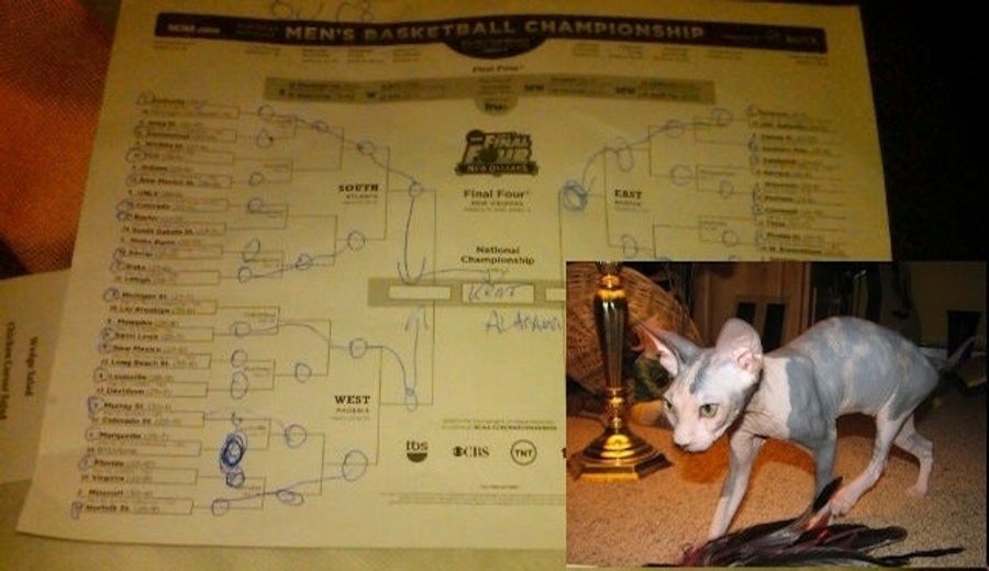 Alex Ovechkin Picked Norfolk State (And So Did A Hairless Cat)