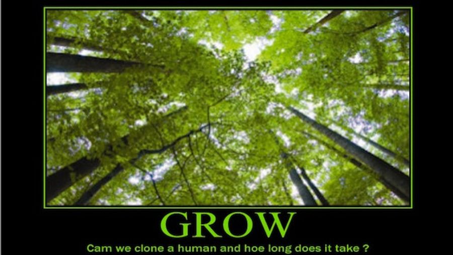 Today In Jose Canseco Tweets As Motivational Posters: Grow