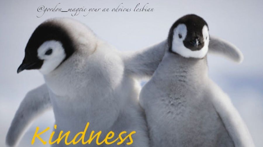 Today In Jose Canseco Tweets As Motivational Posters: Kindness