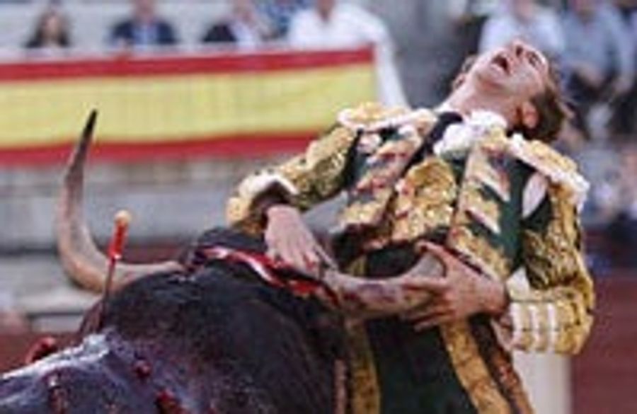 Spanish Matador Messes With Bull, Gets Horns