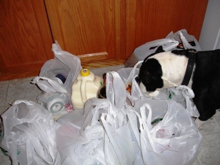 The Bizarre World Of American Grocery Bagging