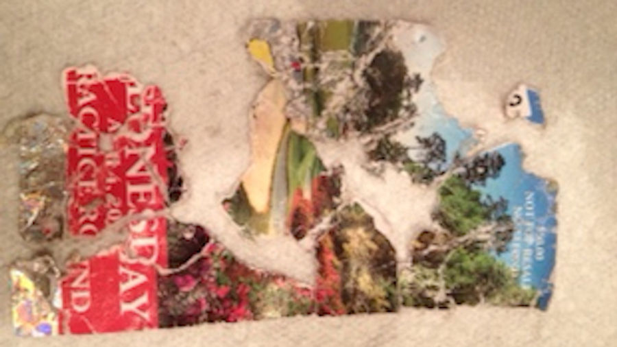 Dog Eats Man's Masters Tickets, Man Induces Dog To Puke, Man Pieces Tickets Back Together