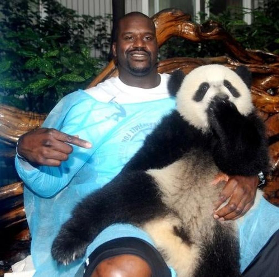 This Little Furry Will Be Shaq's Reality Show Sidekick
