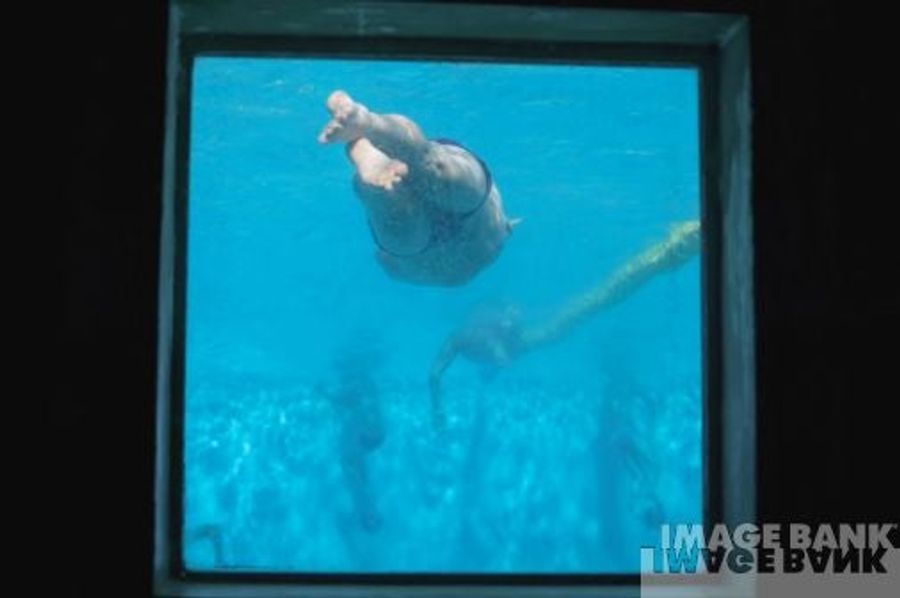 Welp, We're Never Going Swimming Again