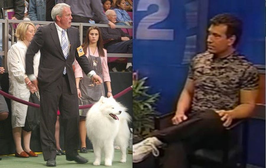 In Which We Get Sucked Into A Crazy Dog Show Feud
