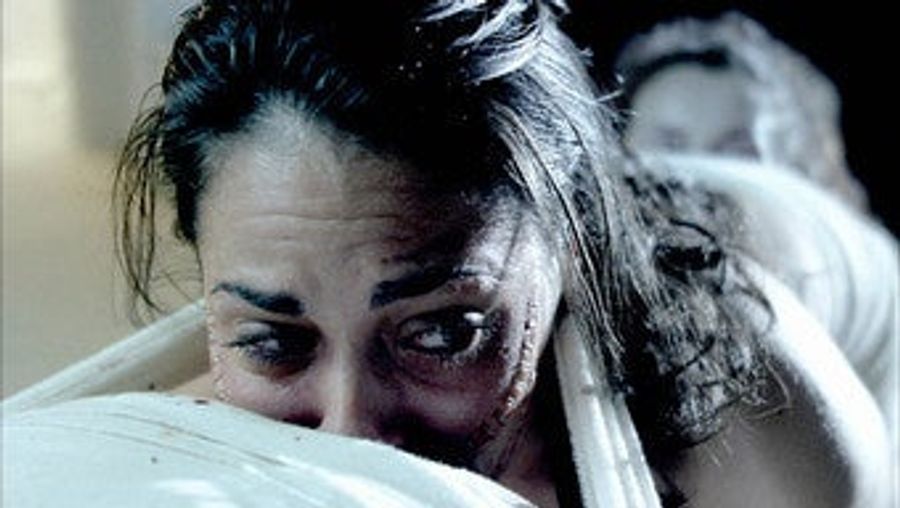 If Anyone Else Is Morbidly Curious About &quot;The Human Centipede&quot;...