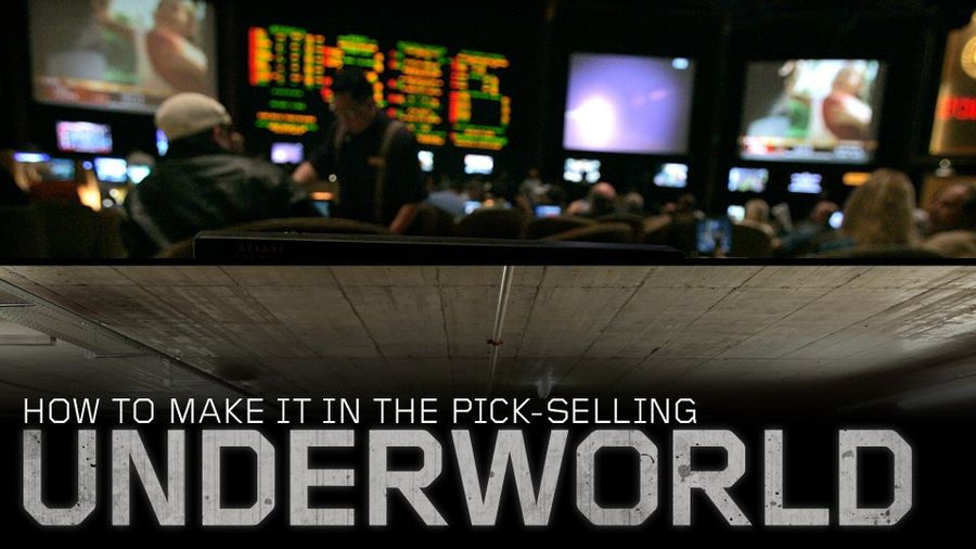 In The Realm Of Gambling Message Boards, Anyone Could Be The Next Sarah Phillips