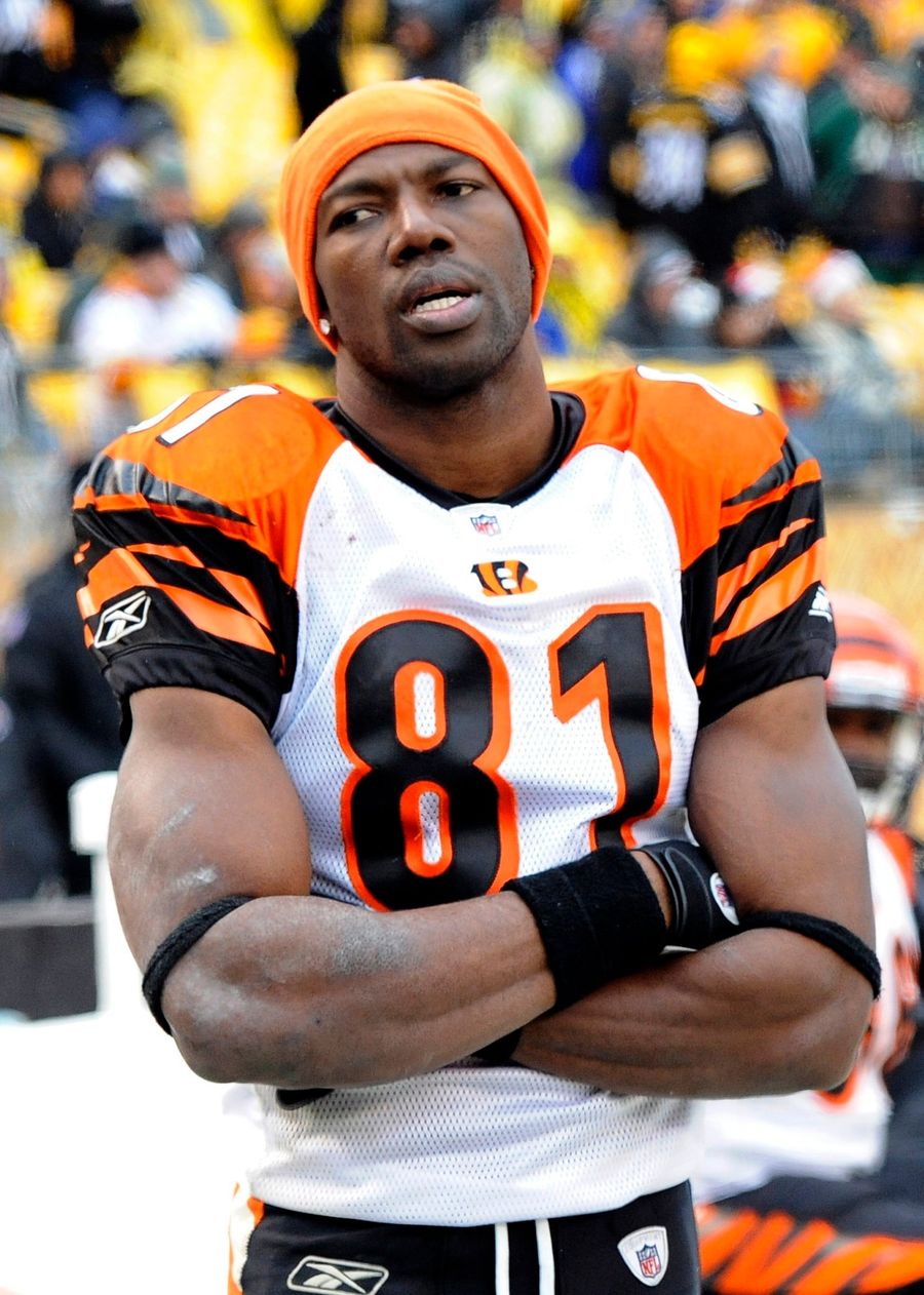 Terrell Owens Says He Isn't A Deadbeat Dad, Just A Dad With A Lot Less Money