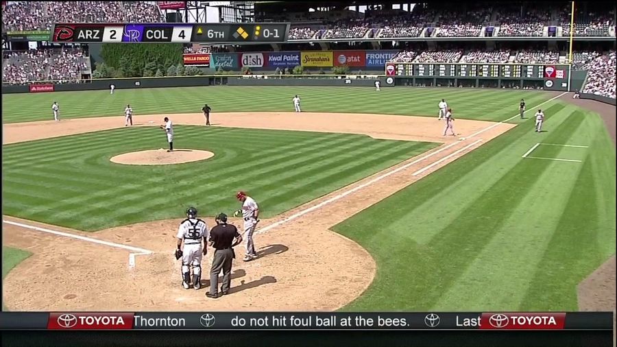 Today&#39;s Diamondbacks-Rockies Game Was Delayed Due To Bees. Lots Of Bees. [UPDATE]