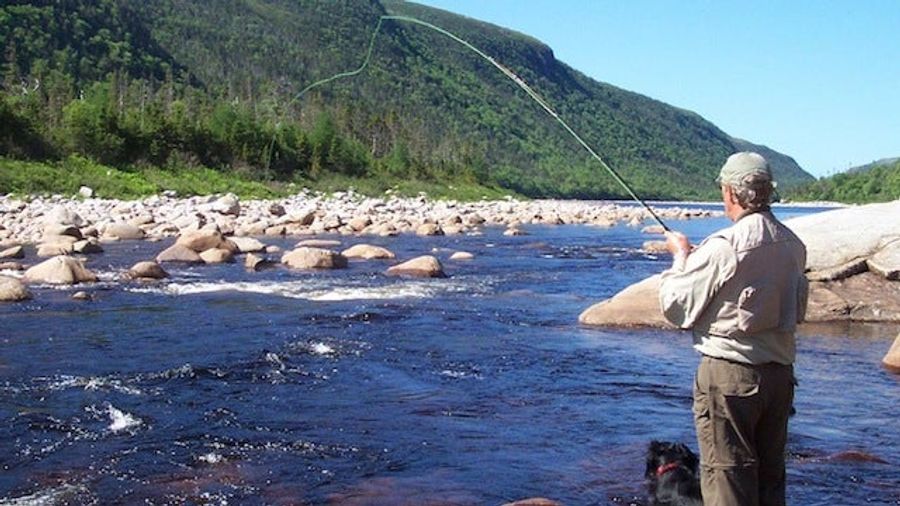 <em>Dead Angler</em> And More: A Look Inside Real, Bizarre Fly-Fishing-Themed Mystery Novels