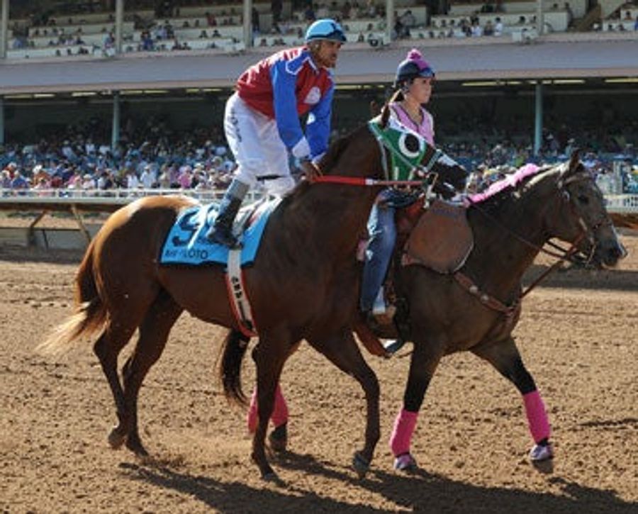 Mexican Drug Lords Launder Money Through Horse Racing, U.S. Government Alleges