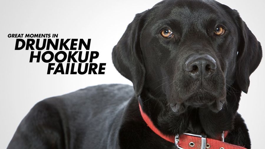 Dogs Are Not Your Manhood's Best Friend