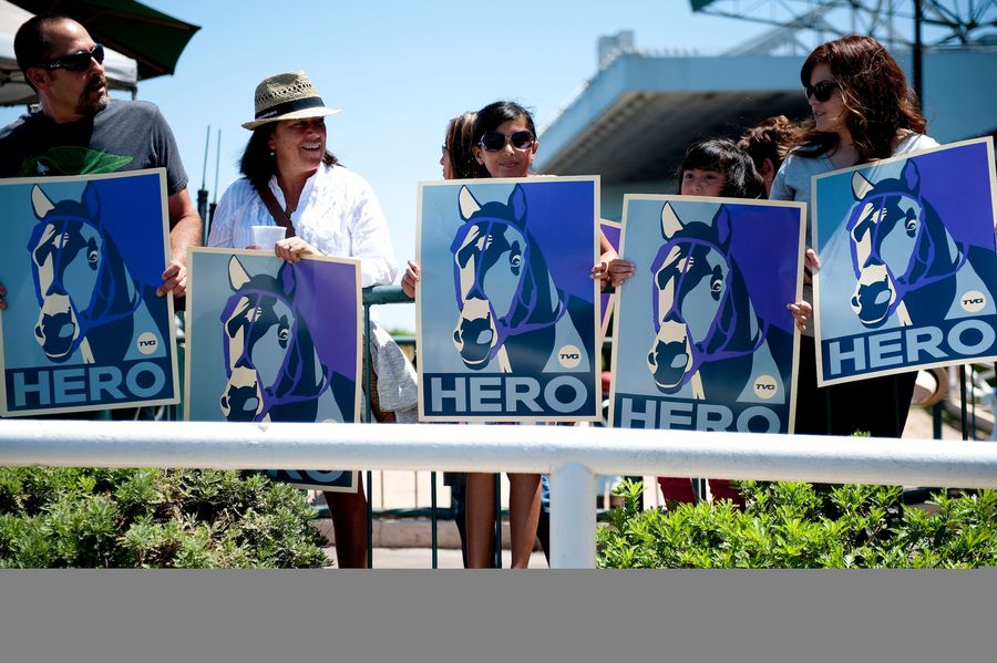 Our Race Horses Are Broken, America