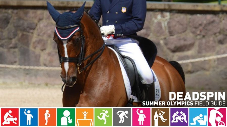 Olympic Field Guide: Rafalca, Ann Romney&#39;s Poor Horse