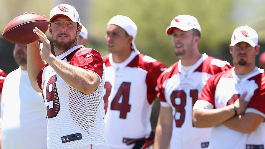 Why Your Team Sucks 2012: Arizona Cardinals