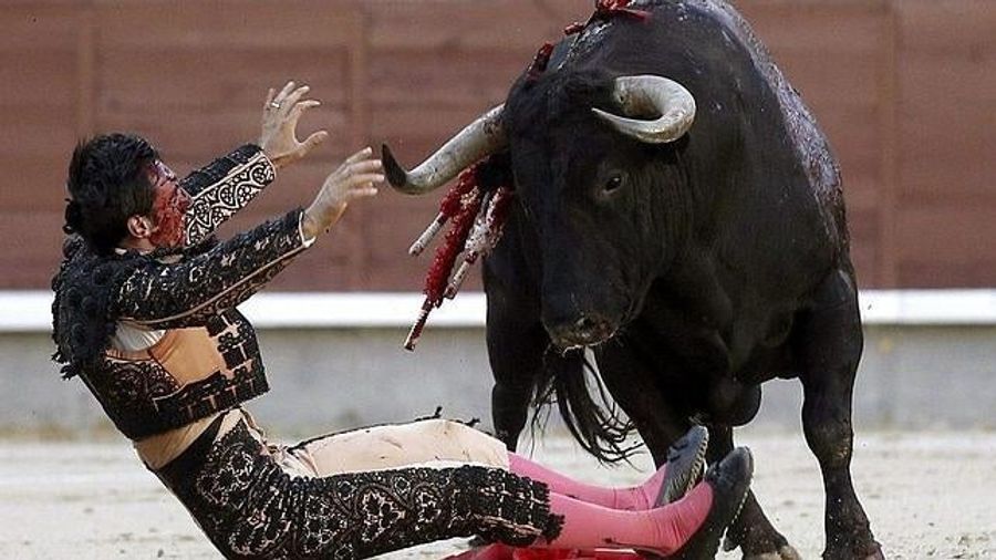 Bull Gores The Shit Out Of Matador [Possibly NSFW]
