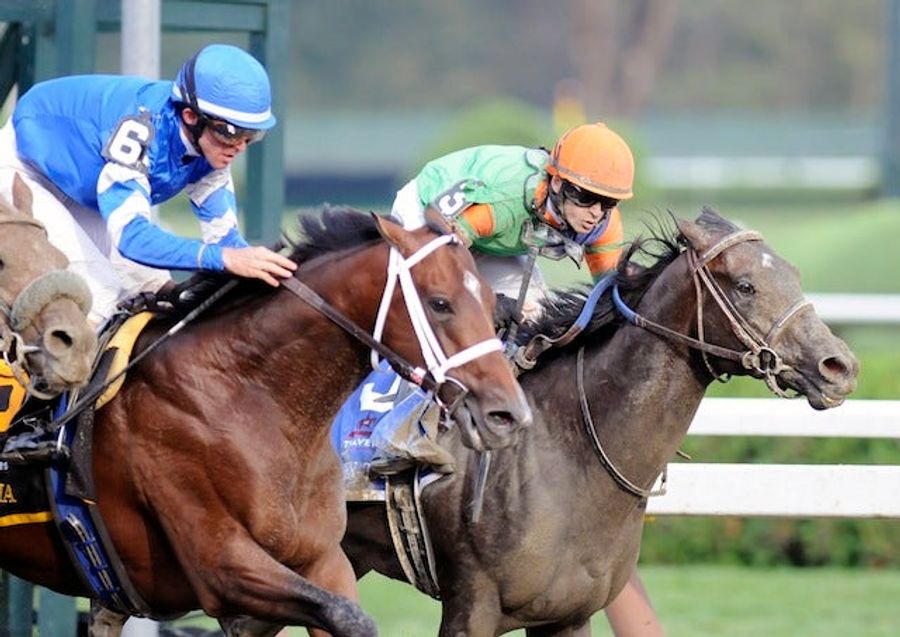 Everybody Lost Two Different Horses Won The Travers Stakes