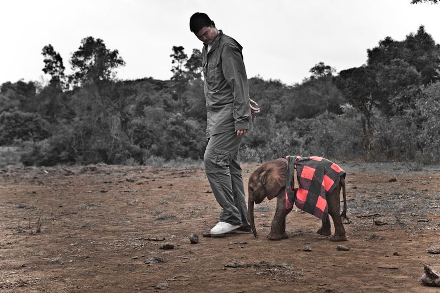 Here's Yao Ming Standing Next To A Full-Grown Elephant