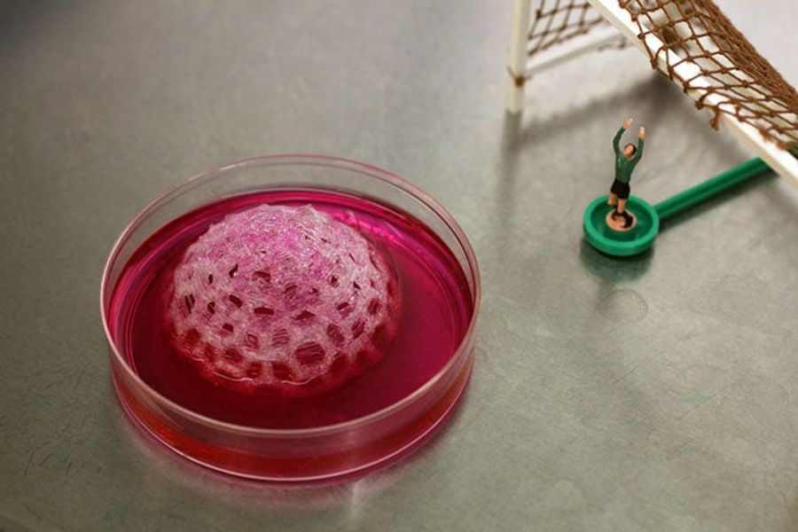 Mini-Soccer Balls Can Now Be Grown From The Cells Of Pig Bladders