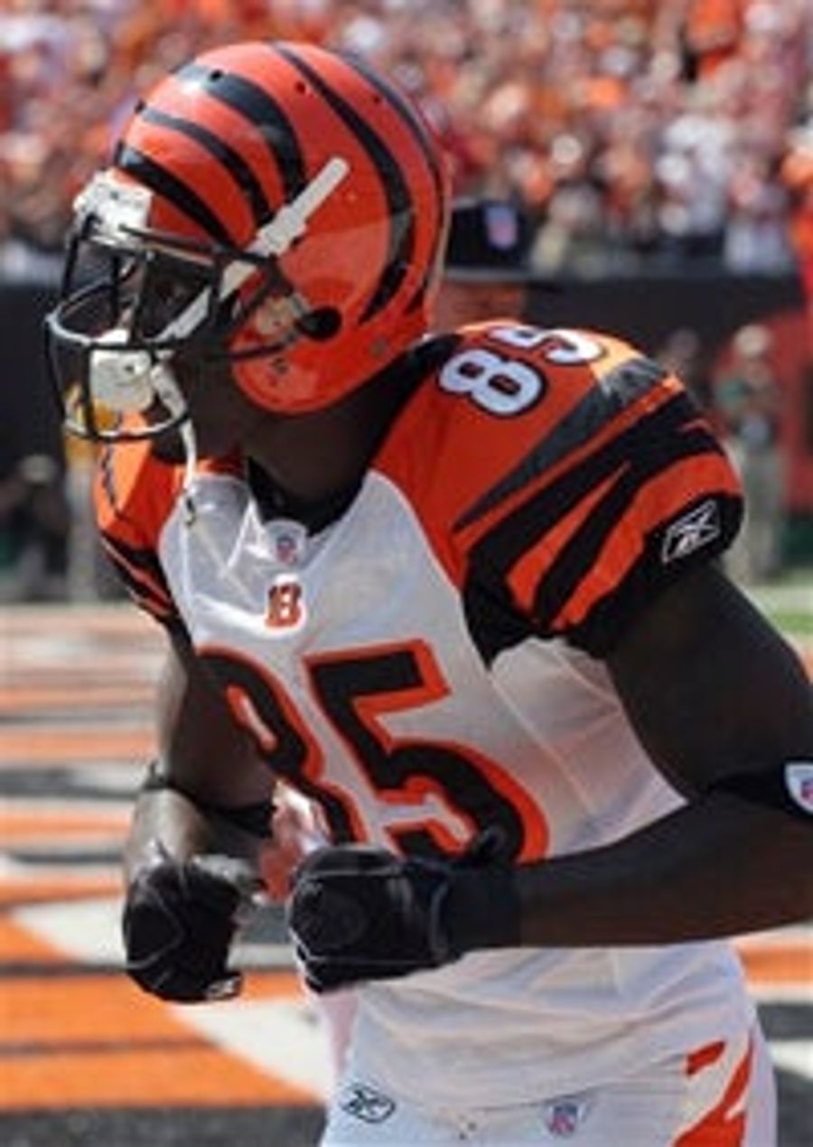 A Day At Paul Brown Stadium