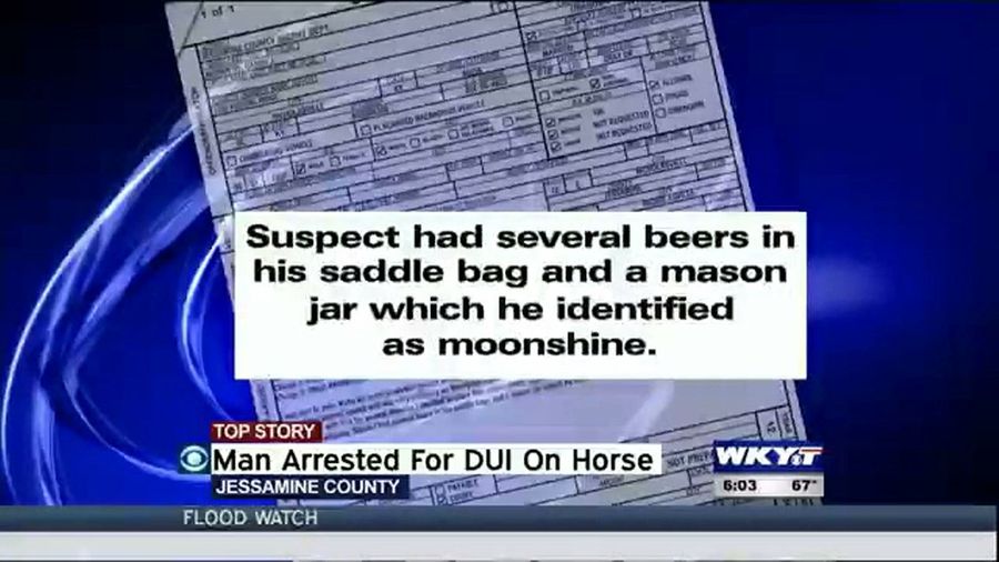 As If Being Arrested For DUI While Riding A Horse Weren&#39;t Bad Enough, The Cops Found His Moonshine